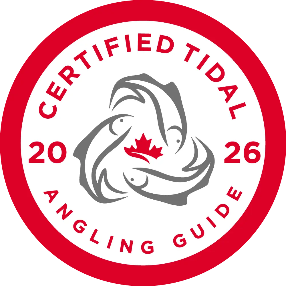CTAG Certified Guide