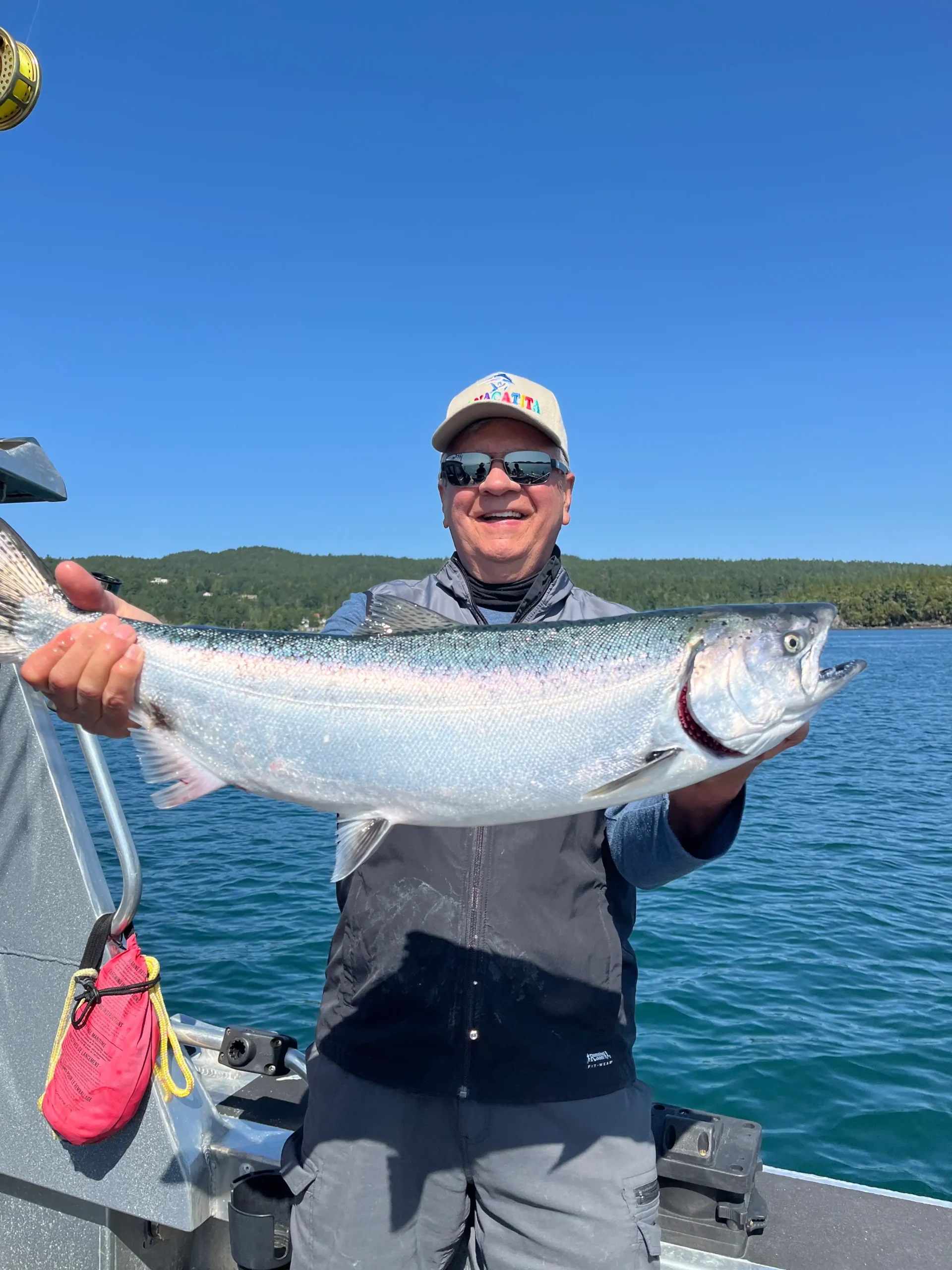 Chinook salmon catch