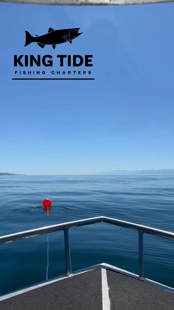 Charter highlight reel