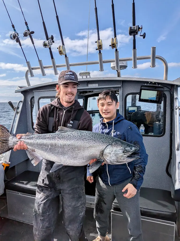 Recent King Tide charter catch