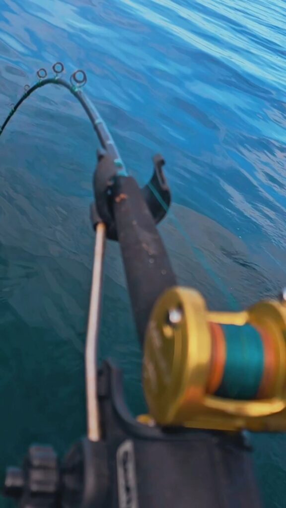 King Tide Hog-tober Fest reel 7