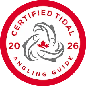 CTAG Certified Guide